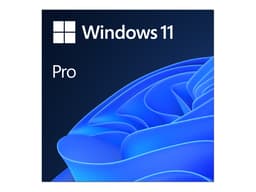 Microsoft Windows 11 Pro 64-Bit – Digital License FQC-10572