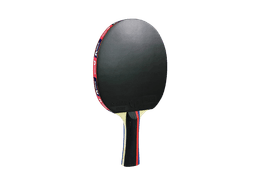 Butterfly RDJ TTN BAT S1 Table Tennis Racket | 5-Ply Blade | All-Round Performance