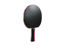 Butterfly RDJ TTN BAT S1 Table Tennis Racket