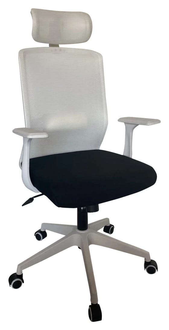 Cubix Highback Ergonomic Chair with White Mesh Back, Headrest, and Lumbar Support, NX 2304