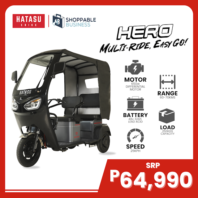 HATASU HERO Three Wheeler Ebike with 48V32AH Rechargeable Battery & Leather Roof Cover