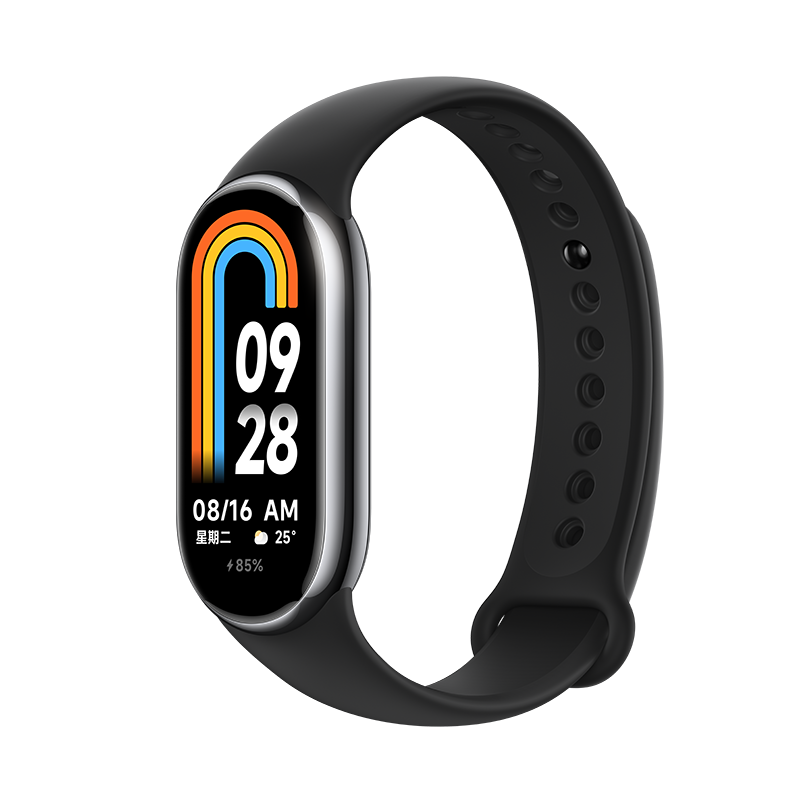 Xiaomi Smart Band 8 (Graphite Black, Champagne Gold)