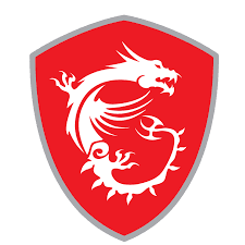 MSI