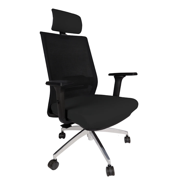 Gentleprince Soga Executive Office Chair D1-528AB | Black