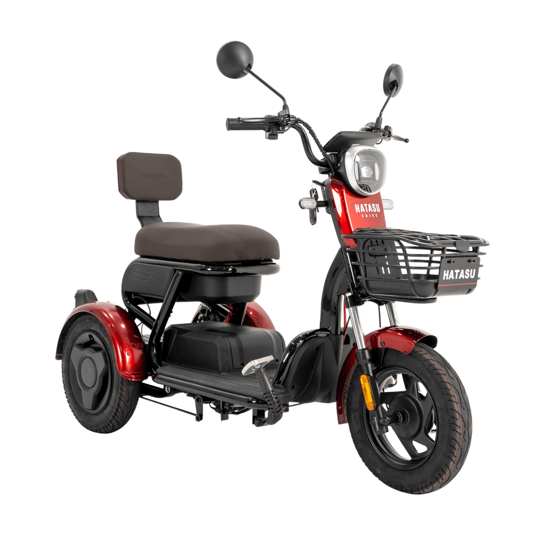 HATASU HARU Three Wheeler Ebike with 48V20AH Rechargeable Battery