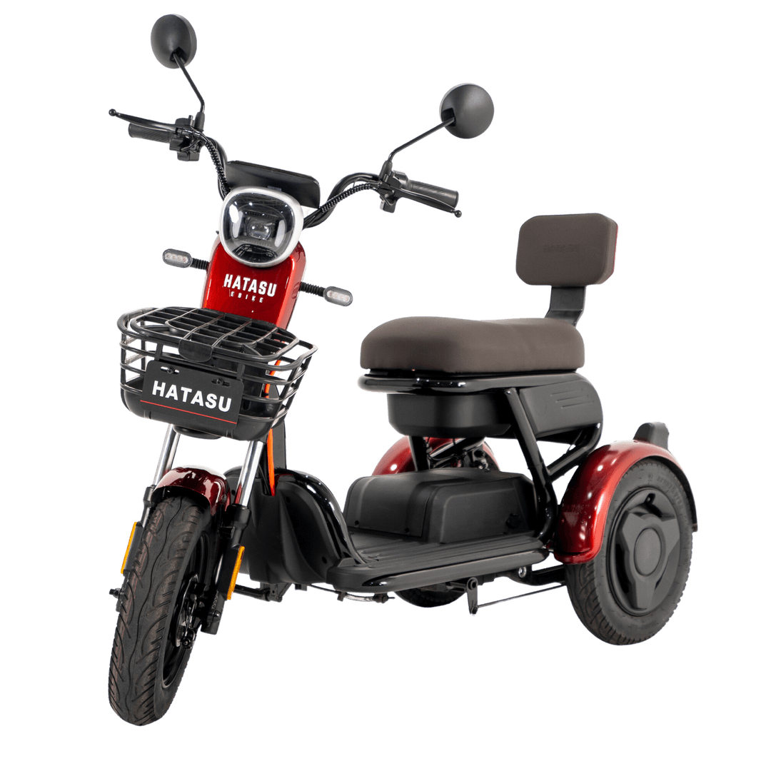 HATASU HARU Three Wheeler Ebike with 48V20AH Rechargeable Battery