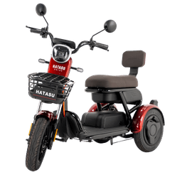 HATASU HARU Three Wheeler Ebike with 48V20AH Rechargeable Battery