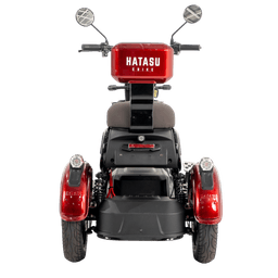 HATASU HARU Three Wheeler Ebike with 48V20AH Rechargeable Battery