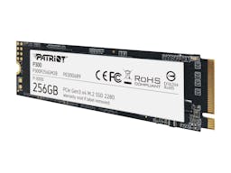 Patriot P300P256GM28 PC Memory Card 256GB