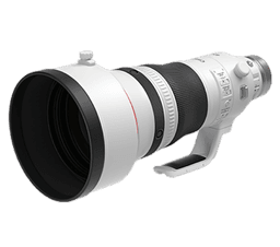 Canon RF 600mm f/4L IS USM Camera Super Telephoto and Superior Quality Lens
