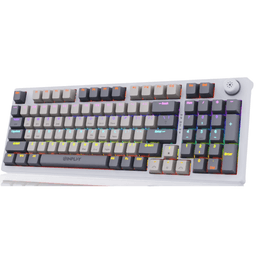 Inplay SK960 96-Key Mechanical Keyboard with Red Switch RGB Backlight Mixed Color