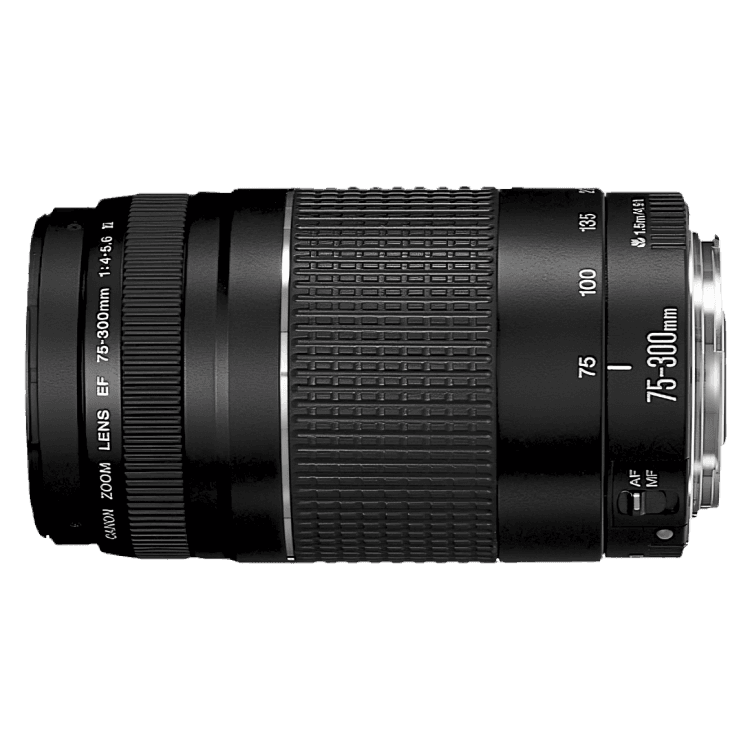 Canon EF 75-300mm f/4-5.6 III Camera Telephoto Zoom Photography Lens