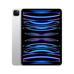 Apple iPad Pro 11-inch 4th Generation Wi-Fi + Cellular 256GB