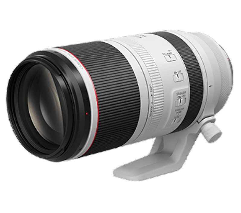 Canon RF100-500mm f/4.5-7.1L IS USM Camera All-rounder Super Tele Zoom Lens