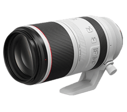 Canon RF100-500mm f/4.5-7.1L IS USM Camera All-rounder Super Tele Zoom Lens