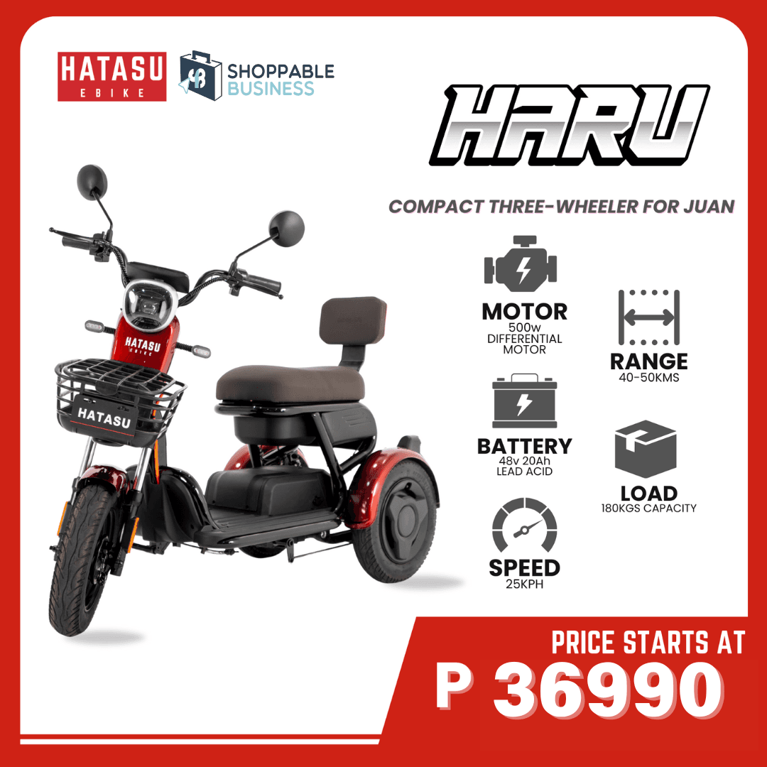HATASU HARU Three Wheeler Ebike with 48V20AH Rechargeable Battery