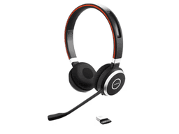 Jabra Evolve 65 MS Wireless Headset I Professional Stereo with Link 370 USB Adapter