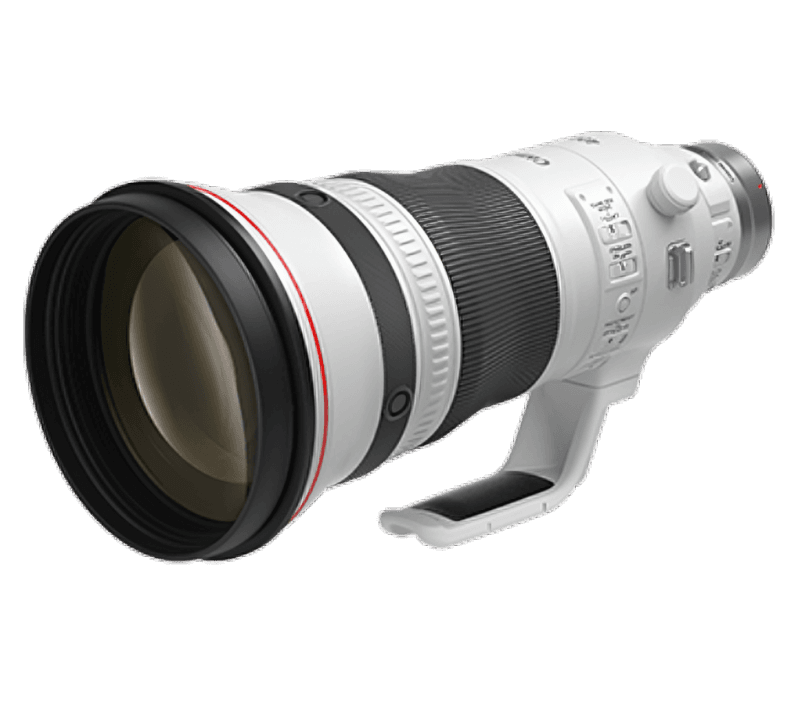 Canon RF 600mm f/4L IS USM Camera Super Telephoto and Superior Quality Lens
