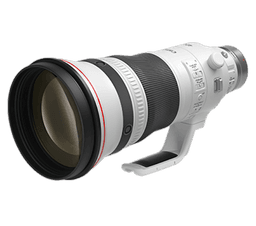 Canon RF 600mm f/4L IS USM Camera Super Telephoto and Superior Quality Lens