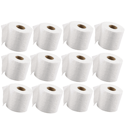 Premium 3-Ply Bathroom Tissue, 48 Rolls, 100% Virgin Pulp | Ultra Soft & Durable
