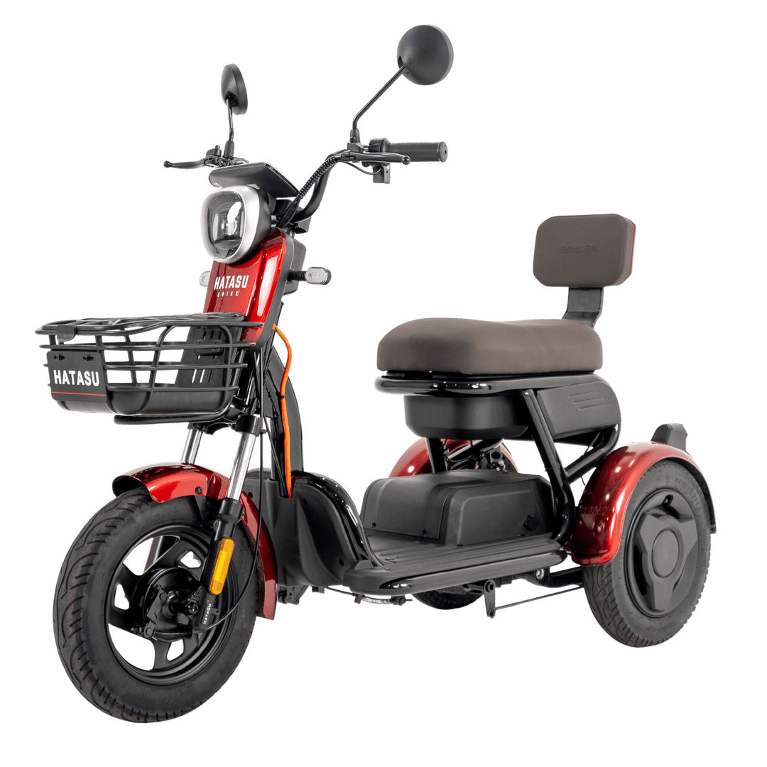HATASU HARU Three Wheeler Ebike with 48V20AH Rechargeable Battery