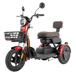 HATASU HARU Three Wheeler Ebike with 48V20AH Rechargeable Battery