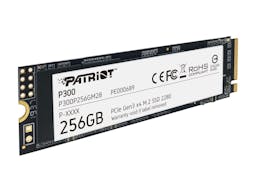 Patriot P300P256GM28 PC Memory Card 256GB