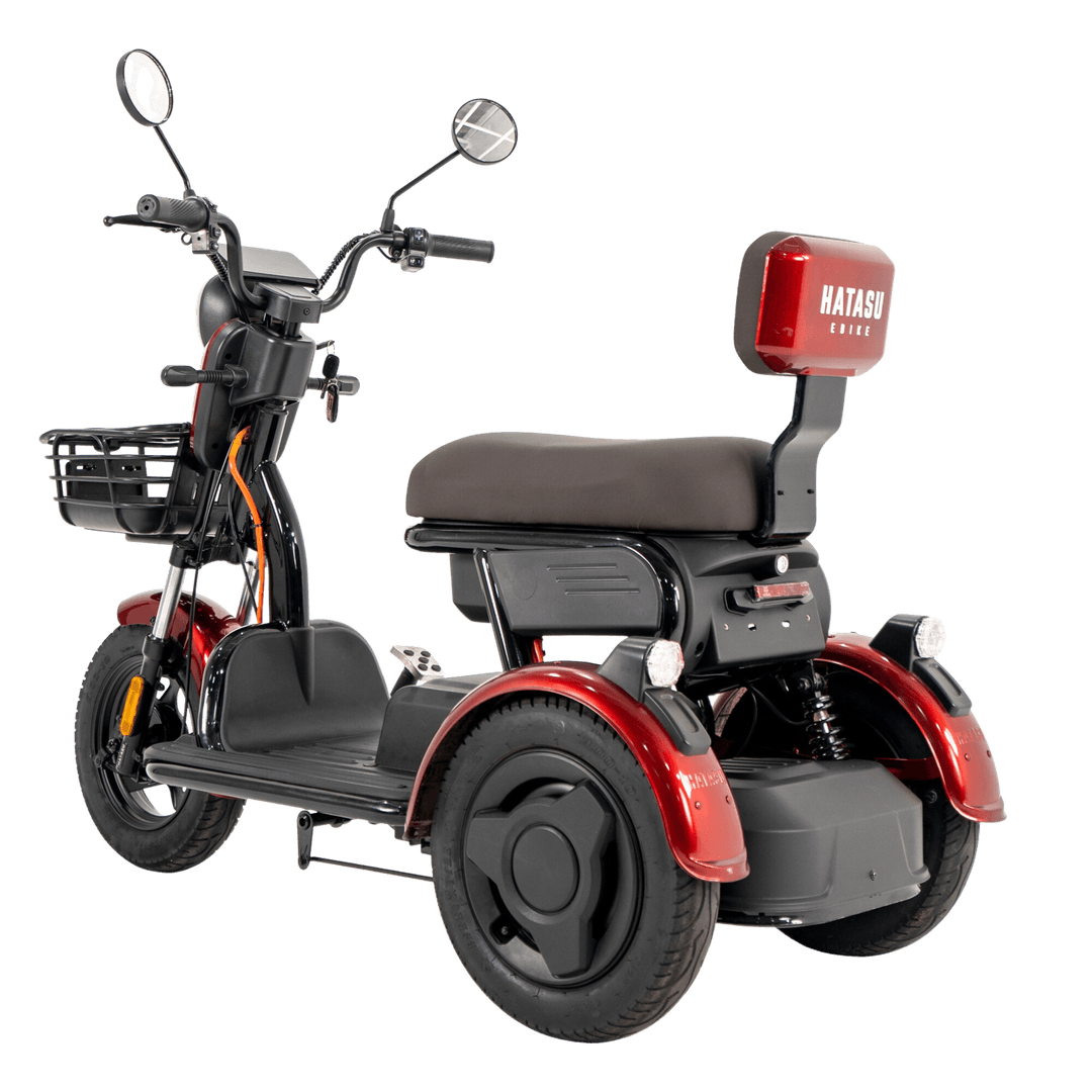 HATASU HARU Three Wheeler Ebike with 48V20AH Rechargeable Battery