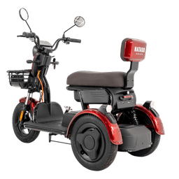 HATASU HARU Three Wheeler Ebike with 48V20AH Rechargeable Battery