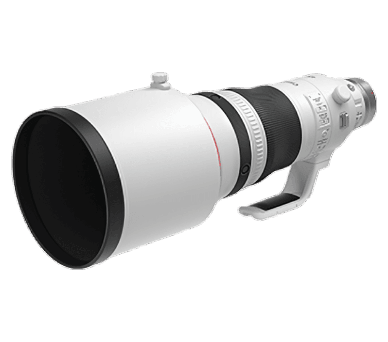 Canon RF 600mm f/4L IS USM Camera Super Telephoto and Superior Quality Lens