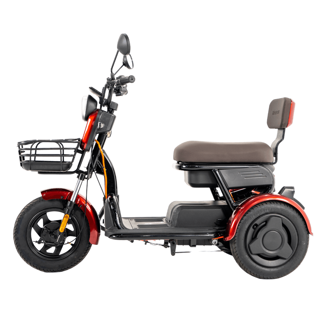 HATASU HARU Three Wheeler Ebike with 48V20AH Rechargeable Battery
