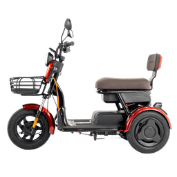 HATASU HARU Three Wheeler Ebike with 48V20AH Rechargeable Battery