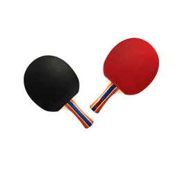 Butterfly RDJ S3 Table Tennis Racket | 5-Ply Wood | 1.9mm Spryer Rubber | ITTF Approved | Flared Grip