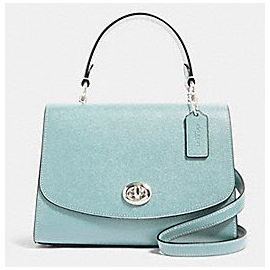 Coach 76618 Tilly Top Handle Leather Crossbody Bag (Green)